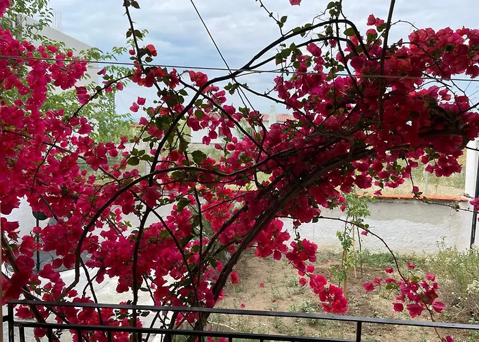 Vakantiehuis με σοφίτα